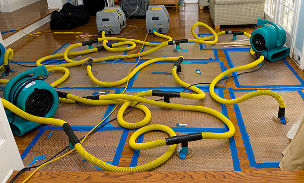 Professional Crawl Space Water Removal technician working in Deerfield, IL